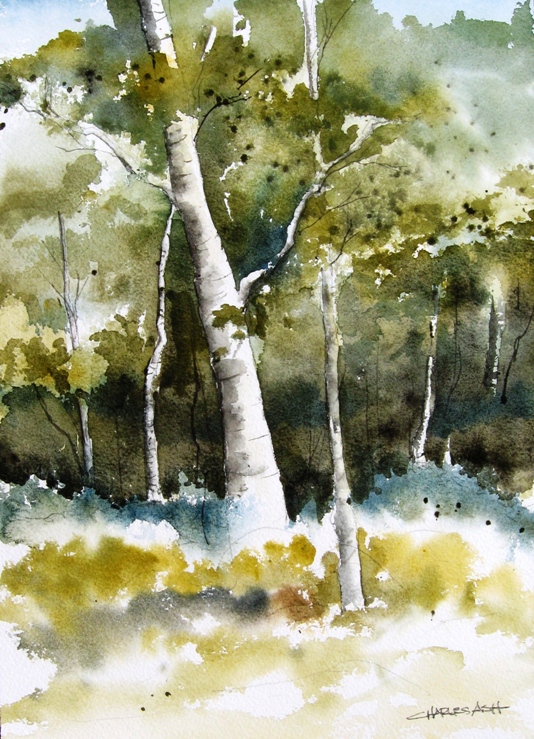Bandelier Sketch