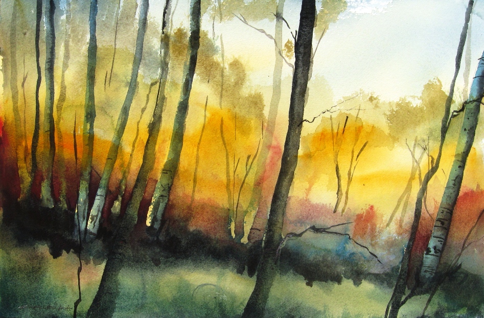wilderness colors